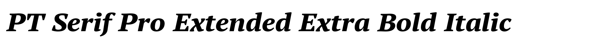 PT Serif Pro Extended Extra Bold Italic image